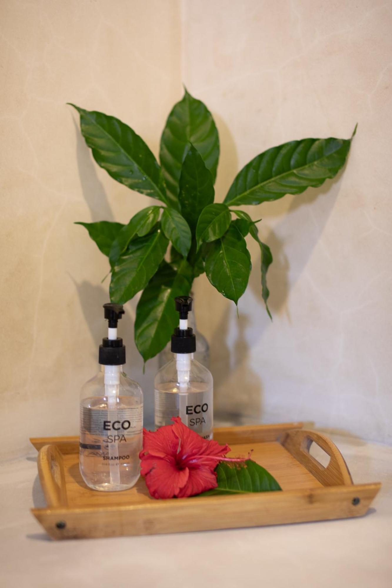 Ebb & Flow Paje Exterior photo
